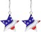 American Flag Earrings Patriotic Red White Blue USA Earring,4th of July Drop Dangle Earring